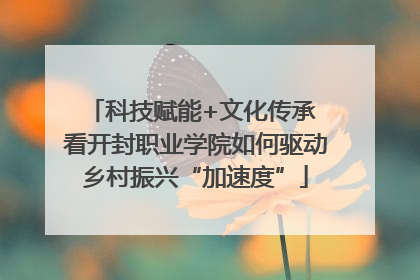 科技赋能+文化传承 看开封职业学院如何驱动乡村振兴“加速度”