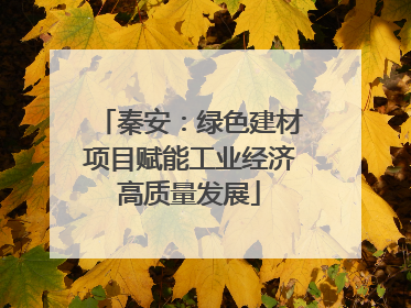 秦安：绿色建材项目赋能工业经济高质量发展