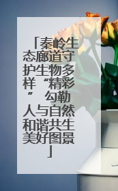 秦岭生态廊道守护生物多样“精彩” 勾勒人与自然和谐共生美好图景