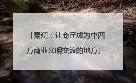 秦朔：让商丘成为中西方商业文明交流的地方
