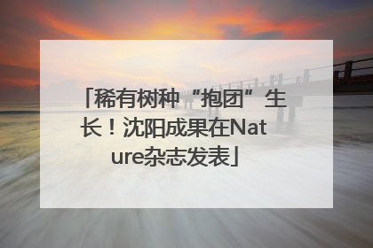 稀有树种“抱团”生长！沈阳成果在Nature杂志发表