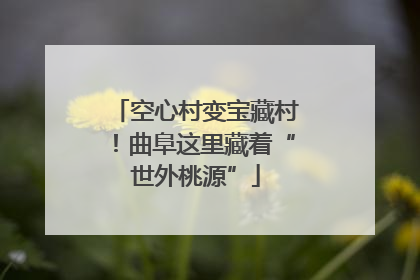 空心村变宝藏村！曲阜这里藏着“世外桃源”