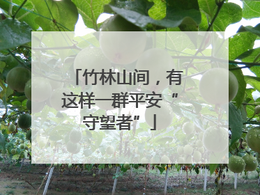 竹林山间，有这样一群平安“守望者”
