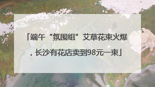 端午“氛围组”艾草花束火爆，长沙有花店卖到98元一束