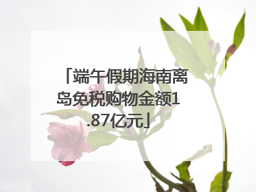 端午假期海南离岛免税购物金额1.87亿元