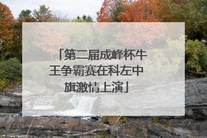 第二届成峰杯牛王争霸赛在科左中旗激情上演