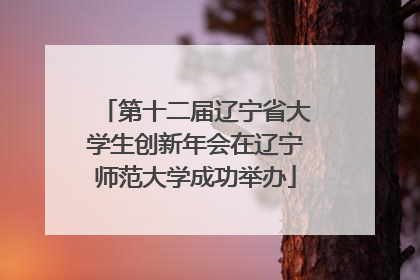 第十二届辽宁省大学生创新年会在辽宁师范大学成功举办