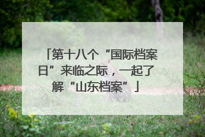第十八个“国际档案日”来临之际，一起了解“山东档案”