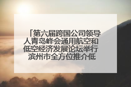 第六届跨国公司领导人青岛峰会通用航空和低空经济发展论坛举行 滨州市全方位推介低空经济发展优势