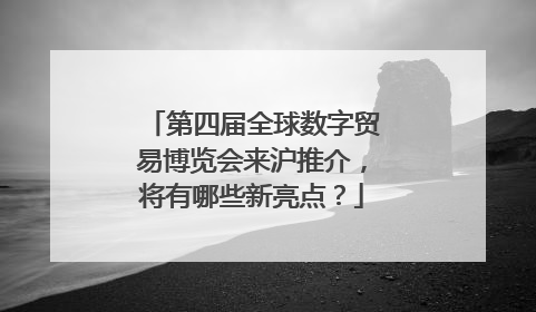 第四届全球数字贸易博览会来沪推介，将有哪些新亮点？