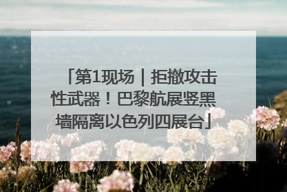 第1现场｜拒撤攻击性武器！巴黎航展竖黑墙隔离以色列四展台