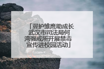 翼护雏鹰助成长 武汉市司法局何湾强戒所开展禁毒宣传进校园活动