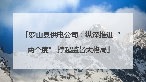 罗山县供电公司：纵深推进“两个度” 撑起监督大格局