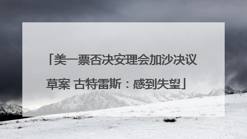 美一票否决安理会加沙决议草案 古特雷斯：感到失望