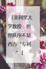 美利坚大学教授：世界秩序不是西方“专利”