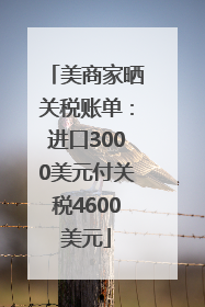 美商家晒关税账单：进口3000美元付关税4600美元