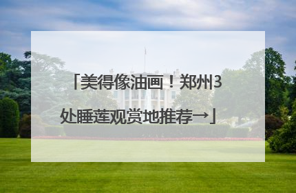 美得像油画！郑州3处睡莲观赏地推荐→
