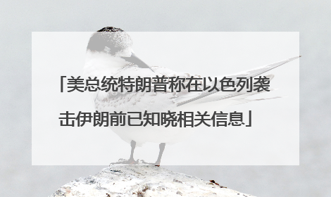美总统特朗普称在以色列袭击伊朗前已知晓相关信息