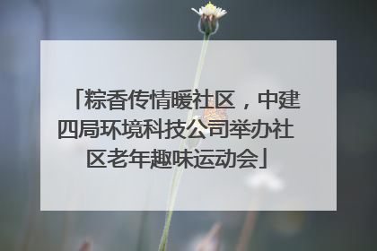 粽香传情暖社区，中建四局环境科技公司举办社区老年趣味运动会