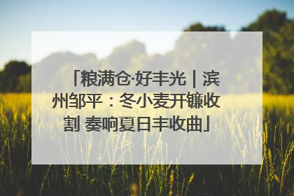 粮满仓·好丰光｜滨州邹平：冬小麦开镰收割 奏响夏日丰收曲
