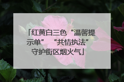 红黄白三色“温馨提示单” “共情执法”守护街区烟火气