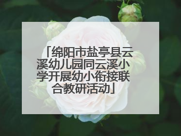 绵阳市盐亭县云溪幼儿园同云溪小学开展幼小衔接联合教研活动