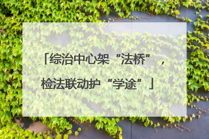 综治中心架“法桥”，检法联动护“学途”
