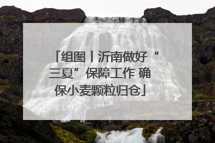 组图丨沂南做好“三夏”保障工作 确保小麦颗粒归仓