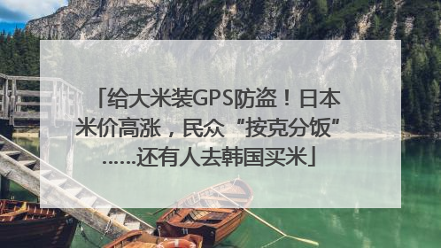 给大米装GPS防盗！日本米价高涨，民众“按克分饭”……还有人去韩国买米