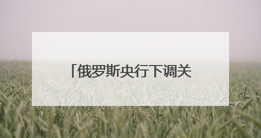 俄罗斯央行下调关键利率至20%