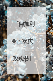 保加利亚：欢庆玫瑰节