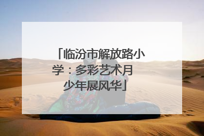 临汾市解放路小学：多彩艺术月 少年展风华