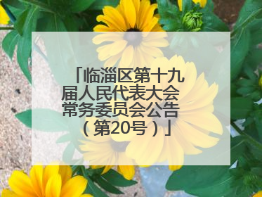 临淄区第十九届人民代表大会常务委员会公告（第20号）