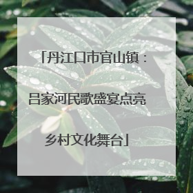 丹江口市官山镇：吕家河民歌盛宴点亮乡村文化舞台