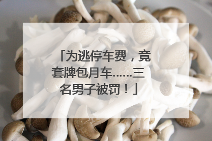 为逃停车费，竟套牌包月车……三名男子被罚！