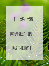 一场“双向奔赴”的执行和解