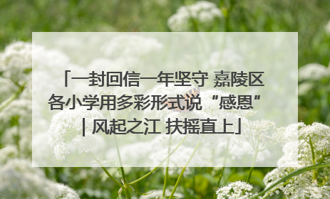 一封回信一年坚守 嘉陵区各小学用多彩形式说“感恩”｜风起之江 扶摇直上