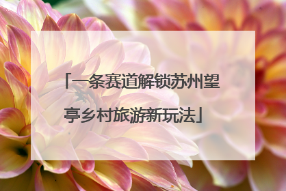 一条赛道解锁苏州望亭乡村旅游新玩法