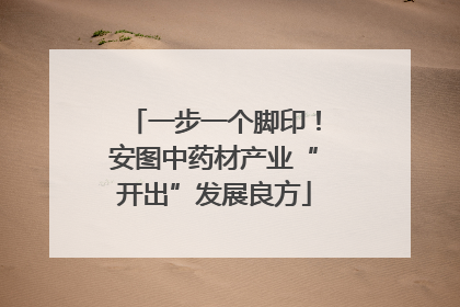 一步一个脚印！安图中药材产业“开出”发展良方