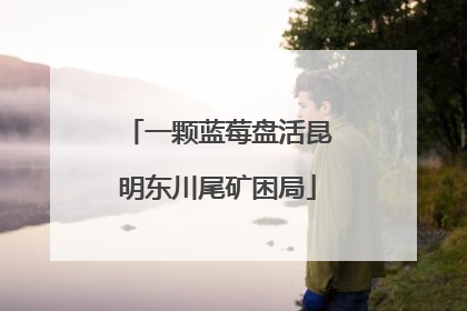一颗蓝莓盘活昆明东川尾矿困局