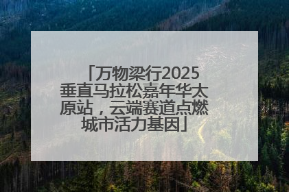 万物梁行2025垂直马拉松嘉年华太原站，云端赛道点燃城市活力基因