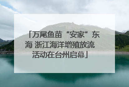 万尾鱼苗“安家”东海 浙江海洋增殖放流活动在台州启幕
