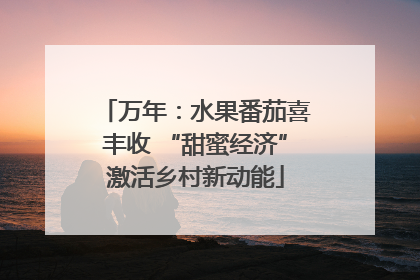 万年：水果番茄喜丰收 “甜蜜经济”激活乡村新动能