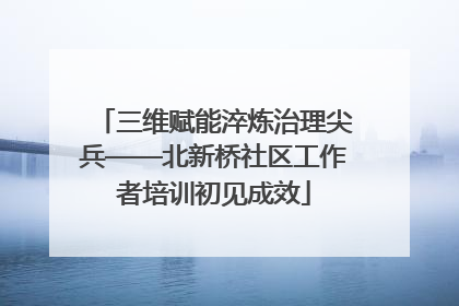 三维赋能淬炼治理尖兵——北新桥社区工作者培训初见成效