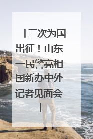 三次为国出征！山东一民警亮相国新办中外记者见面会