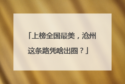 上榜全国最美，沧州这条路凭啥出圈？