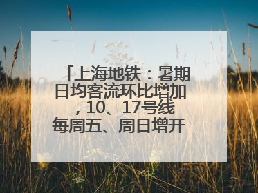 上海地铁：暑期日均客流环比增加，10、17号线每周五、周日增开加班车