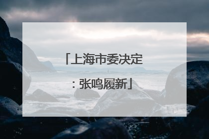 上海市委决定：张鸣履新