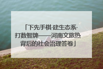 下先手棋·建生态系·打数智牌——河南文旅热背后的社会治理答卷