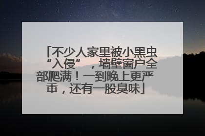 不少人家里被小黑虫“入侵”，墙壁窗户全部爬满！一到晚上更严重，还有一股臭味